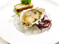-SIR ELLY'S 艾利爵士餐厅
