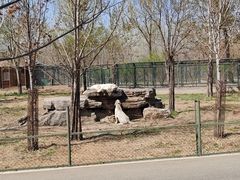 -秦皇岛野生动物园