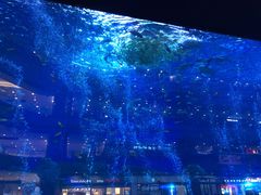 -成都浩海立方海洋公园