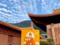 -深圳仙湖植物园