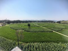 -苏州太湖西山岛开心农场