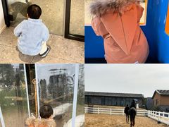 -天目湖涵田度假村