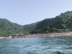 -杨梅坑