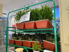 -山东宾馆·齐鲁苑餐厅