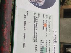 -柳州市动物园