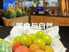 -季季山·云南野生菌火锅(上海首店)