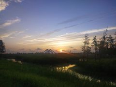 -春花秋色城市公园