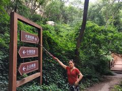 -大岭沟猕猴桃谷风景区