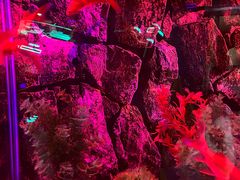 -秦皇岛新澳海底世界