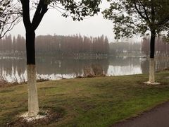 -艾溪湖湿地公园