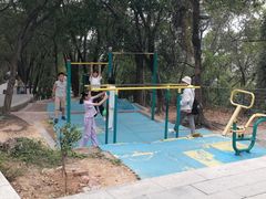 -金鸡山公园