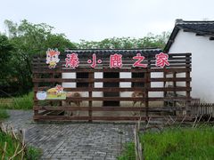 -溱湖国家湿地公园