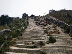 -梧桐山风景名胜区