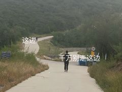 -鬼笑石后山停车场