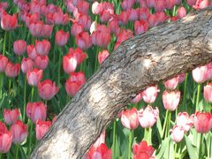 -长春公园(普阳街道)