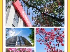 -天籁艺术高考培训学校·重庆艺考集训