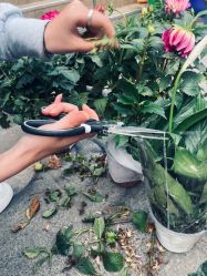 -张仕婚礼·做有温度的婚礼