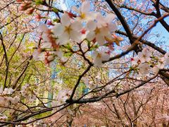 -西北湖绿化广场