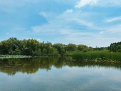 -溱湖国家湿地公园