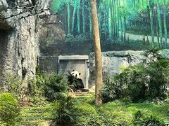 -石排湾郊野公园