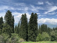 -新疆那拉提国家旅游度假区