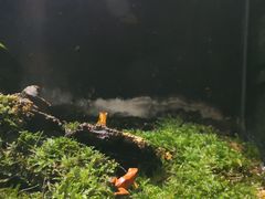 -暹罗海洋世界