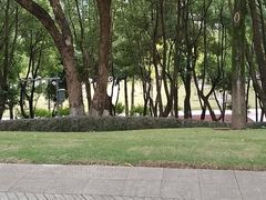 -重庆市江北嘴中央商务区中央公园