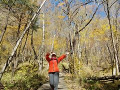 -叠溪松坪沟景区