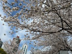 -新虹桥中心花园