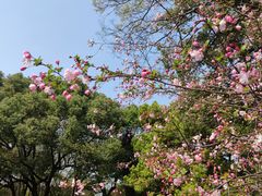 -西园戒幢律寺