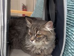 -佳雯宠物医院·皮肤科·内外科(春晓路分院)