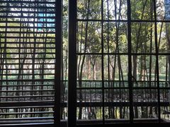 -东方明珠老上海8号餐厅(东方明珠广播电视塔店)