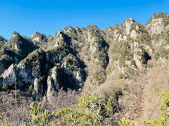 -王顺山国家森林公园