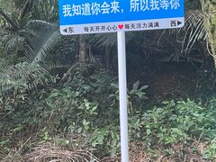 -七仙岭温泉国家森林公园