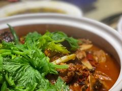 泉水焖烧鸡-先机泉水鸡汤(南山老君洞店)