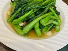 清炒菜心-老广酒楼(樱花店)