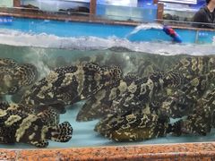 -渔人湾码头海鲜市场负二楼