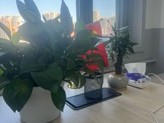 -北京华佳律师事务所(双井店)