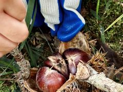 -楠溪江风景名胜区