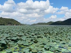 -东钱湖旅游度假区