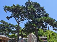 -妙峰山风景名胜区