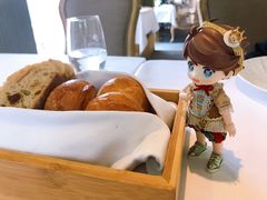 -蝶舍·MAISON PAPILLON