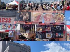 -台场海滨公园船码头