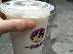 -一只酸奶牛(奎星楼店)