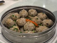 -姚林轩