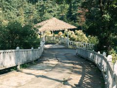 -贵州森林野生动物园