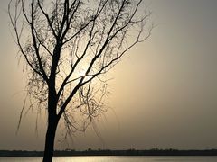 -丁香湖公园