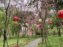 -福建鲤鱼洲酒店