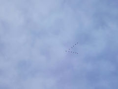 -滨湖塘西河公园