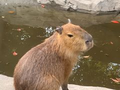 -宁波野生动物园